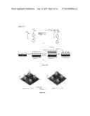 MODIFICATION OF SURFACES WITH POLYMERS diagram and image