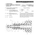 BLOOD CONTROL IV CATHETER WITH ANTIMICROBIAL PROPERTIES diagram and image