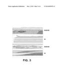 DOORBELT MOLDING FOR VEHICLE AND METHOD FOR MANUFACTURING DOORBELT MOLDING diagram and image