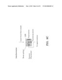 NEAR-IR LASER-INDUCED VIBRATIONAL OVERTONE ABSORPTION SYSTEMS AND METHODS     FOR MATERIAL DETECTION diagram and image