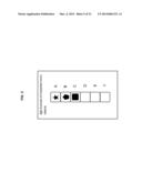 IMPLANTATION OF A SPATIALLY FORMATTED AND ULTRASOUND-DIFFERENTIABLE     MICRO-OBJECTS IN A VERTEBRATE SUBJECT diagram and image