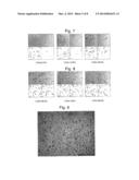 NdFeB SYSTEM SINTERED MAGNET diagram and image