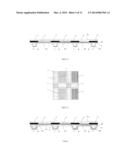 LIQUID CRYSTAL PANEL, LIQUID CRYSTAL DISPLAY AND METHOD FOR MANUFACTURING     THE SAME diagram and image