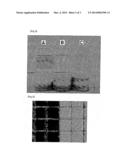 ELECTROPHORETIC SLURRY COMPOSITION AND ELECTROPHORETIC DISPLAY DEVICE     COMPRISING THE SAME diagram and image