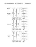 PROJECTOR ZOOM LENS AND PROJECTOR diagram and image