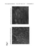 CELL ANALYSIS METHOD, CELL ANALYSIS DEVICE, AND CELL ANALYSIS PROGRAM diagram and image