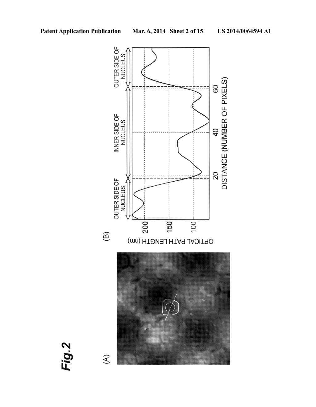 CELL ANALYSIS METHOD, CELL ANALYSIS DEVICE, AND CELL ANALYSIS PROGRAM - diagram, schematic, and image 03