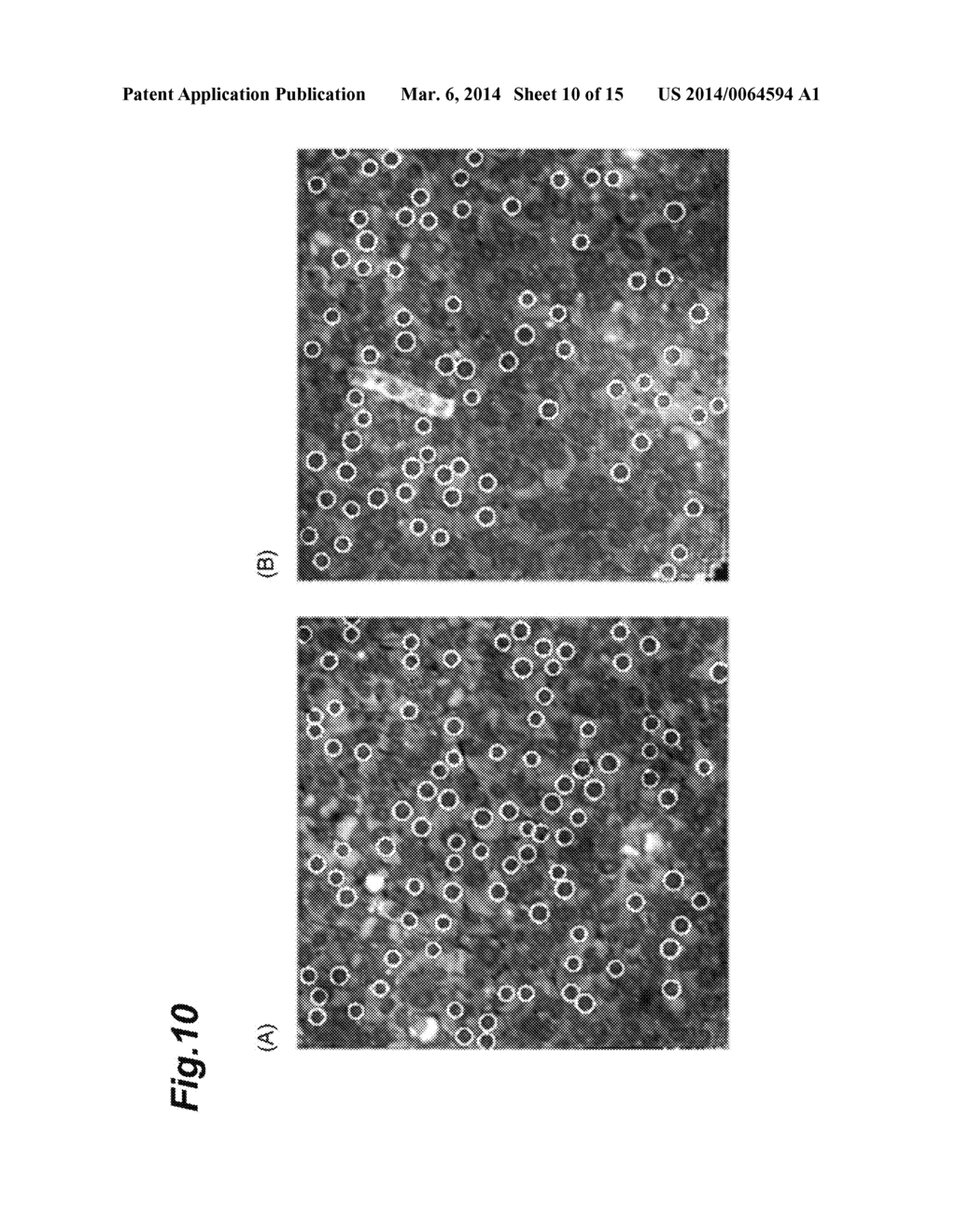 CELL ANALYSIS METHOD, CELL ANALYSIS DEVICE, AND CELL ANALYSIS PROGRAM - diagram, schematic, and image 11