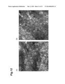 CELL ANALYSIS METHOD, CELL ANALYSIS DEVICE, AND CELL ANALYSIS PROGRAM diagram and image