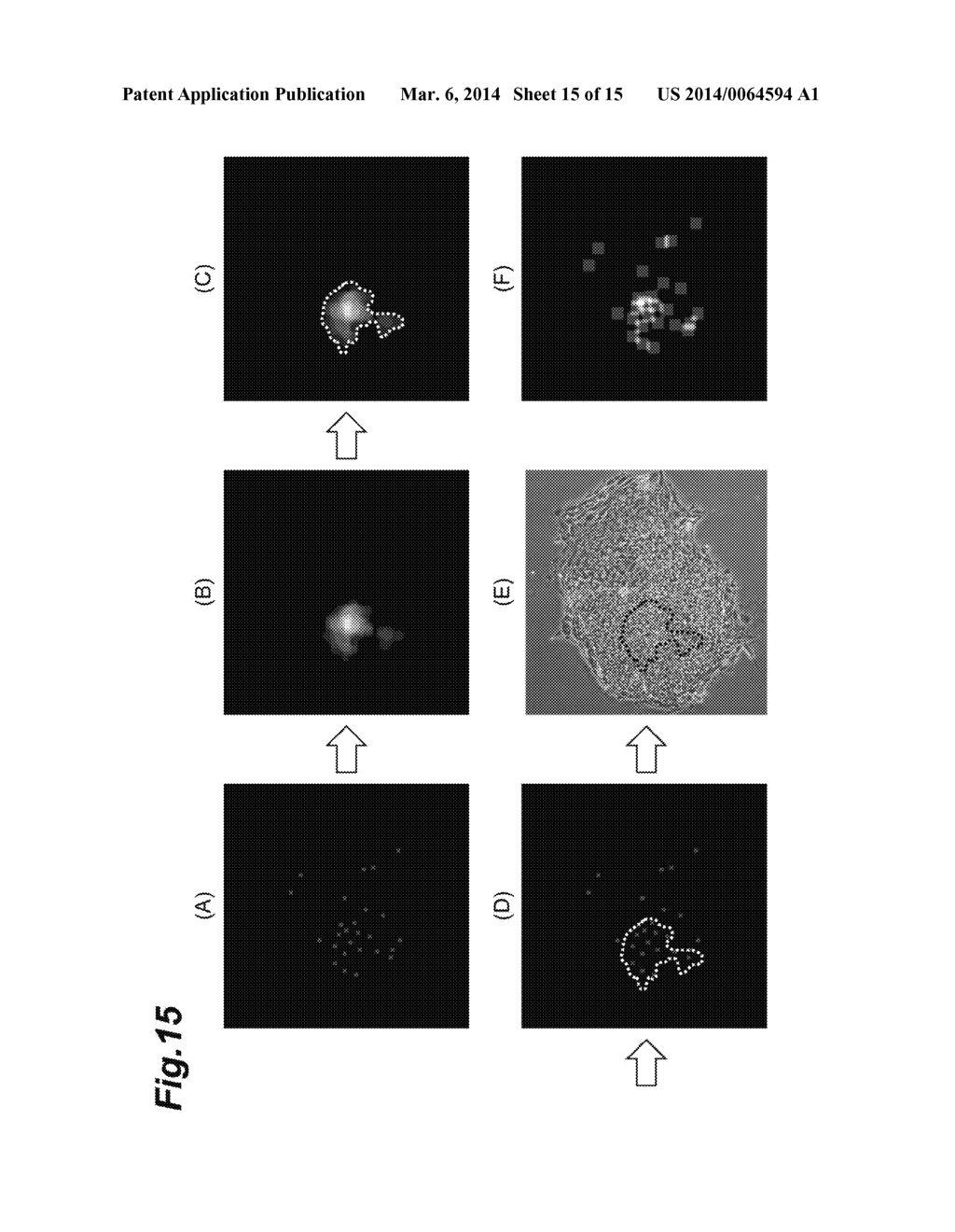 CELL ANALYSIS METHOD, CELL ANALYSIS DEVICE, AND CELL ANALYSIS PROGRAM - diagram, schematic, and image 16