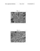 PROCESS FOR MANUFACTURING NEEDLE-SHAPED STRONTIUM CARBONATE PARTICLES diagram and image