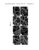 METHOD FOR PRODUCING CARBON MICRO- AND NANO-COILS USING SULFUR     HEXAFLUORIDE GAS diagram and image