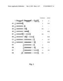 Staphylococcus haemolyticus Prophage PhiSH2 Endolysin is Lytic for     Staphylococcus aureus diagram and image