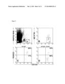 TREATMENT FOR IgE-MEDIATED DISEASE diagram and image