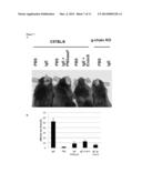 TREATMENT FOR IgE-MEDIATED DISEASE diagram and image