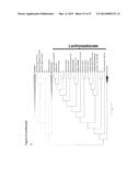 DIAGNOSIS AND TREATMENT OF AUTISM SPECTRUM DISORDER diagram and image