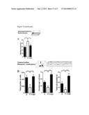 DIAGNOSIS AND TREATMENT OF AUTISM SPECTRUM DISORDER diagram and image