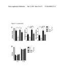 DIAGNOSIS AND TREATMENT OF AUTISM SPECTRUM DISORDER diagram and image