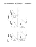 Inhibition of AXL Signaling in Anti-Metastatic Therapy diagram and image