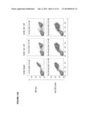 Inhibition of AXL Signaling in Anti-Metastatic Therapy diagram and image