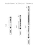 YEAST-BASED THERAPEUTIC FOR CHRONIC HEPATITIS B INFECTION diagram and image