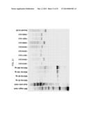 YEAST-BASED THERAPEUTIC FOR CHRONIC HEPATITIS B INFECTION diagram and image