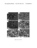 NITRIC OXIDE-RELEASING NANORODS AND THEIR METHODS OF USE diagram and image