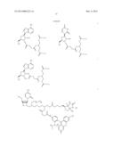 PERFLUORINATED COMPOUNDS FOR THE NON-VIRAL TRANSFER OF NUCLEIC ACIDS diagram and image