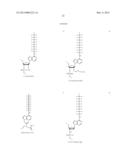 PERFLUORINATED COMPOUNDS FOR THE NON-VIRAL TRANSFER OF NUCLEIC ACIDS diagram and image