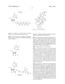 PERFLUORINATED COMPOUNDS FOR THE NON-VIRAL TRANSFER OF NUCLEIC ACIDS diagram and image