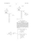 PERFLUORINATED COMPOUNDS FOR THE NON-VIRAL TRANSFER OF NUCLEIC ACIDS diagram and image