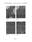 NOVEL LIPID FORMULATIONS FOR NUCLEIC ACID DELIVERY diagram and image