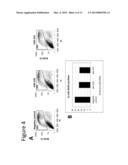 INHIBITORS OF MICRO-RNAS FOR USE FOR PREVENTING AND/OR ATTENUATING SKIN     AGEING diagram and image