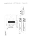 INHIBITORS OF MICRO-RNAS FOR USE FOR PREVENTING AND/OR ATTENUATING SKIN     AGEING diagram and image