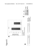 INHIBITORS OF MICRO-RNAS FOR USE FOR PREVENTING AND/OR ATTENUATING SKIN     AGEING diagram and image