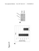 INHIBITORS OF MICRO-RNAS FOR USE FOR PREVENTING AND/OR ATTENUATING SKIN     AGEING diagram and image