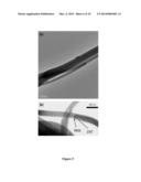 HYBRID PANI/CARBON NANO-COMPOSITES FOR PRODUCTION OF THIN, TRANSPARENT AND     CONDUCTIVE FILMS diagram and image