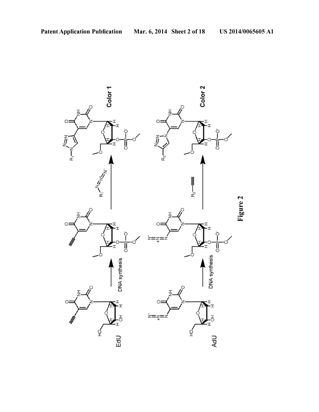 METHODS AND COMPOSITIONS FOR LABELING NUCLEIC ACIDS - diagram, schematic, and image 03