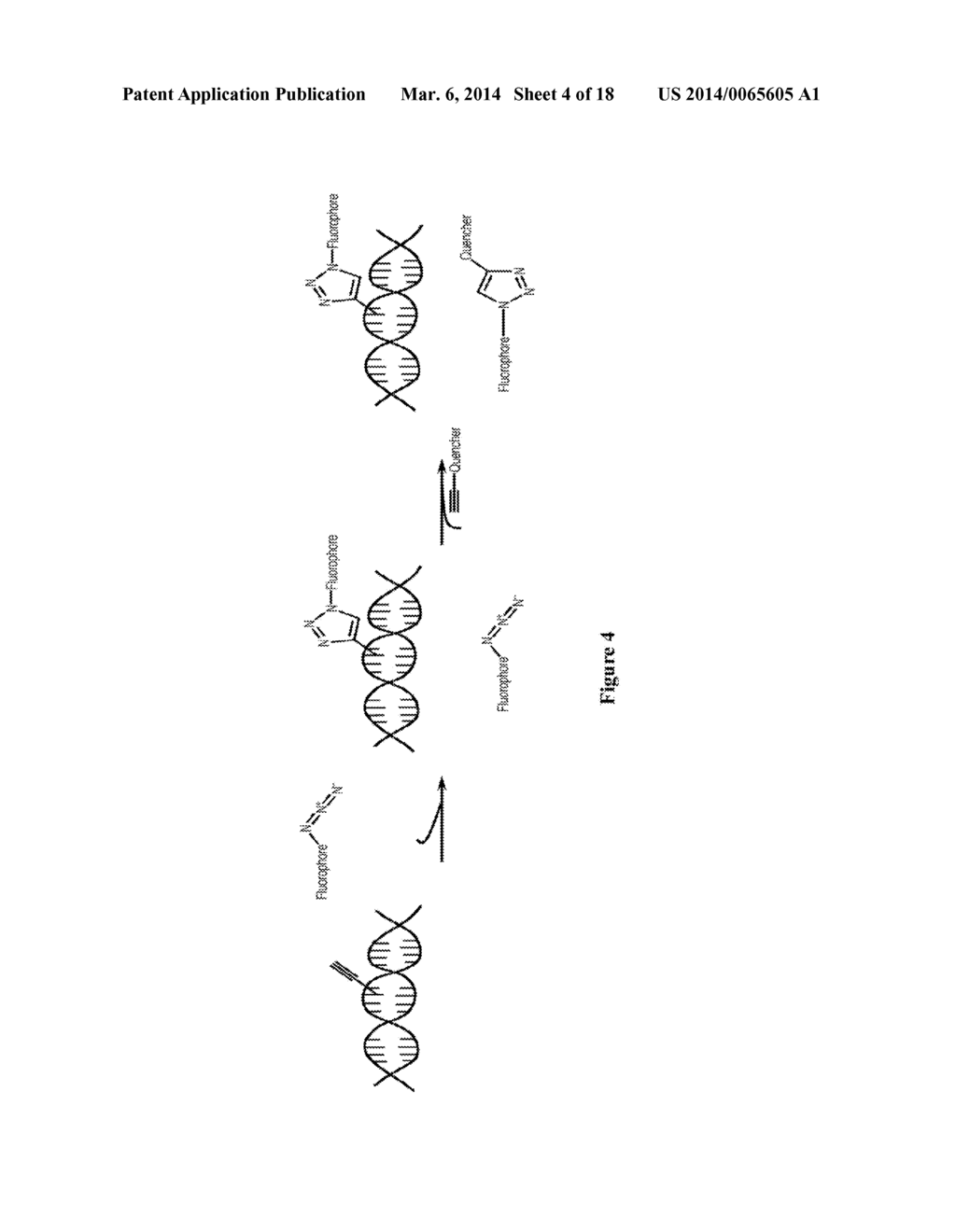 METHODS AND COMPOSITIONS FOR LABELING NUCLEIC ACIDS - diagram, schematic, and image 05