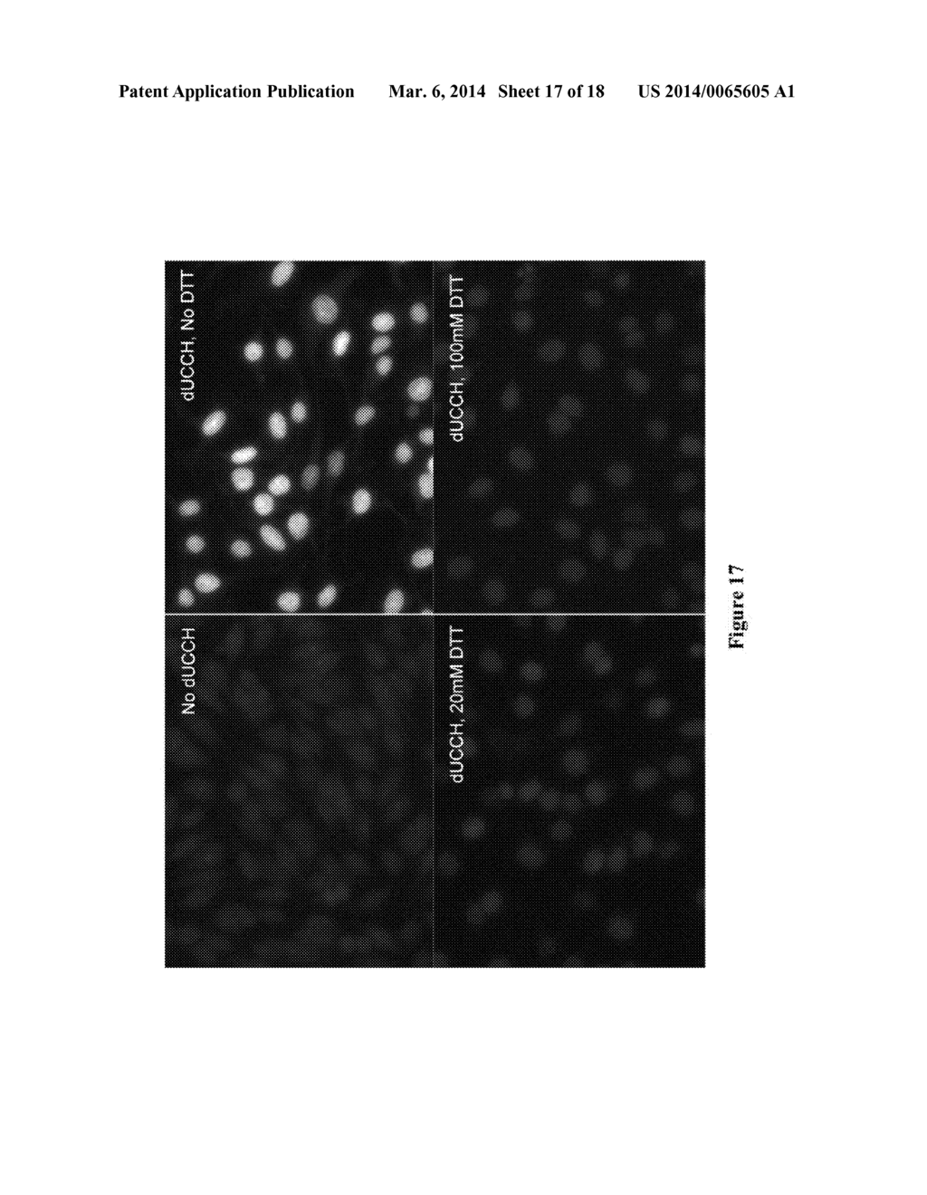 METHODS AND COMPOSITIONS FOR LABELING NUCLEIC ACIDS - diagram, schematic, and image 18