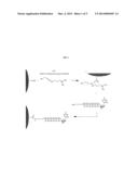 PHOSPHOLINK NUCLEOTIDES FOR SEQUENCING APPLICATIONS diagram and image