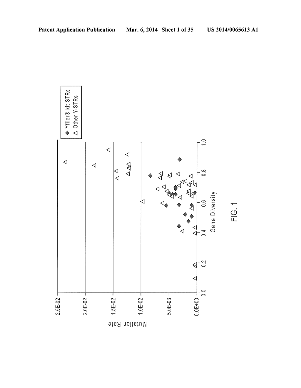 Multiplex Y-STR Analysis - diagram, schematic, and image 02