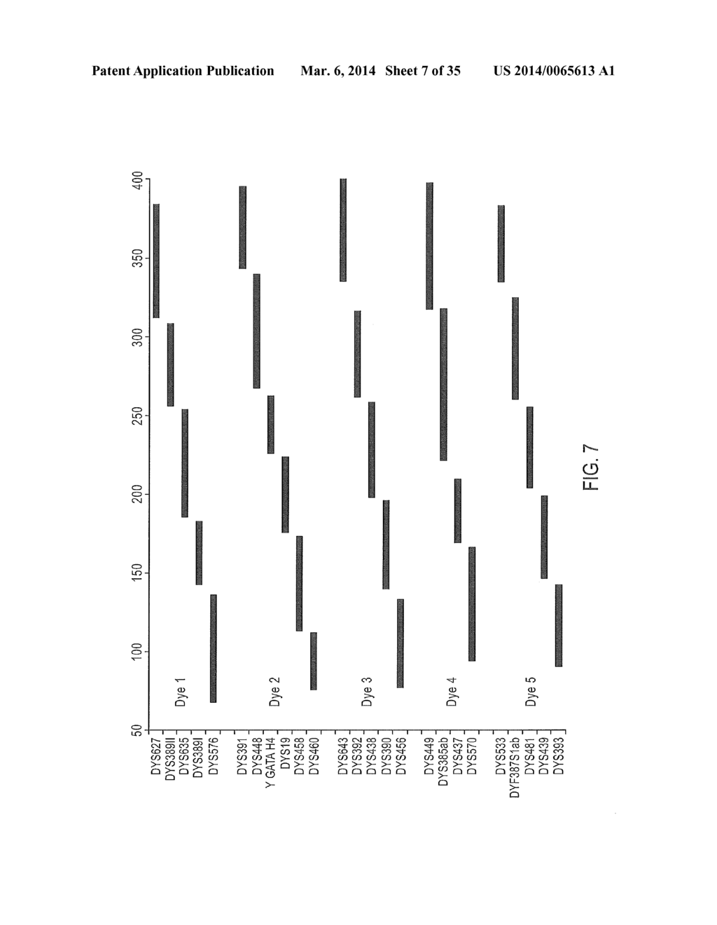 Multiplex Y-STR Analysis - diagram, schematic, and image 08