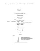 Isotopically-Labeled Proteome Standards diagram and image