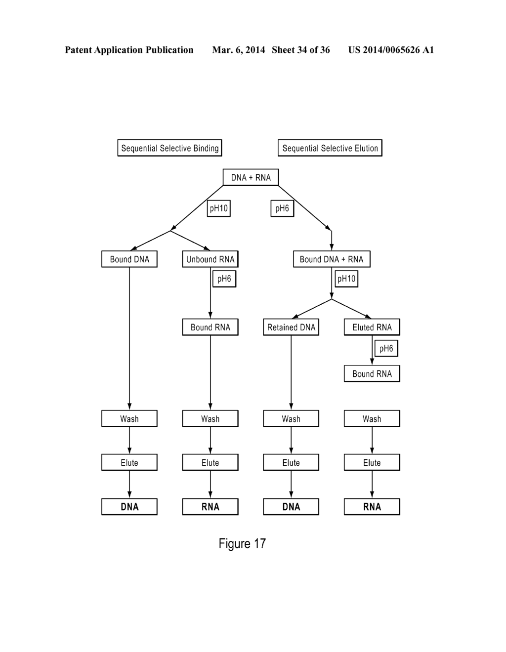 COMPOSITIONS AND METHODS OF SELECTIVE NUCLEIC ACID ISOLATION - diagram, schematic, and image 35