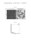 METHOD OF ANALYZING IMAGE OF CELL IN LAMINATED STRUCTURE AND METHOD OF     EVALUATING LAMINATED STRUCTURE FOR CORNEAL TRANSPLANTATION diagram and image