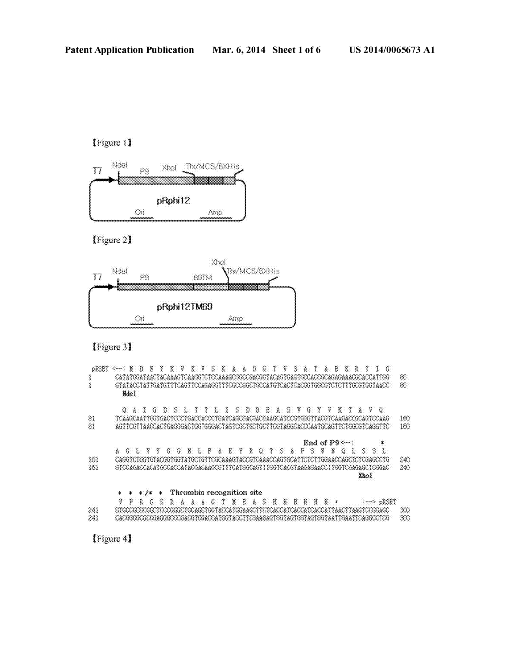 MEMBRANE PROTEIN EXPRESSION VECTOR COMPRISING MAJOR ENVELOPE PROTEIN P9 OF     SYSTOVIRUS PHI12 AS A FUSION PARTNER AND METHOD FOR PRODUCING MEMBRANE     PROTEIN USING THE SAME - diagram, schematic, and image 02