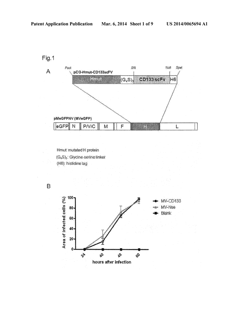 ENHANCED TUMOR THERAPY BY TUMOR STEM CELL TARGETED ONCOLYTIC VIRUSES - diagram, schematic, and image 02