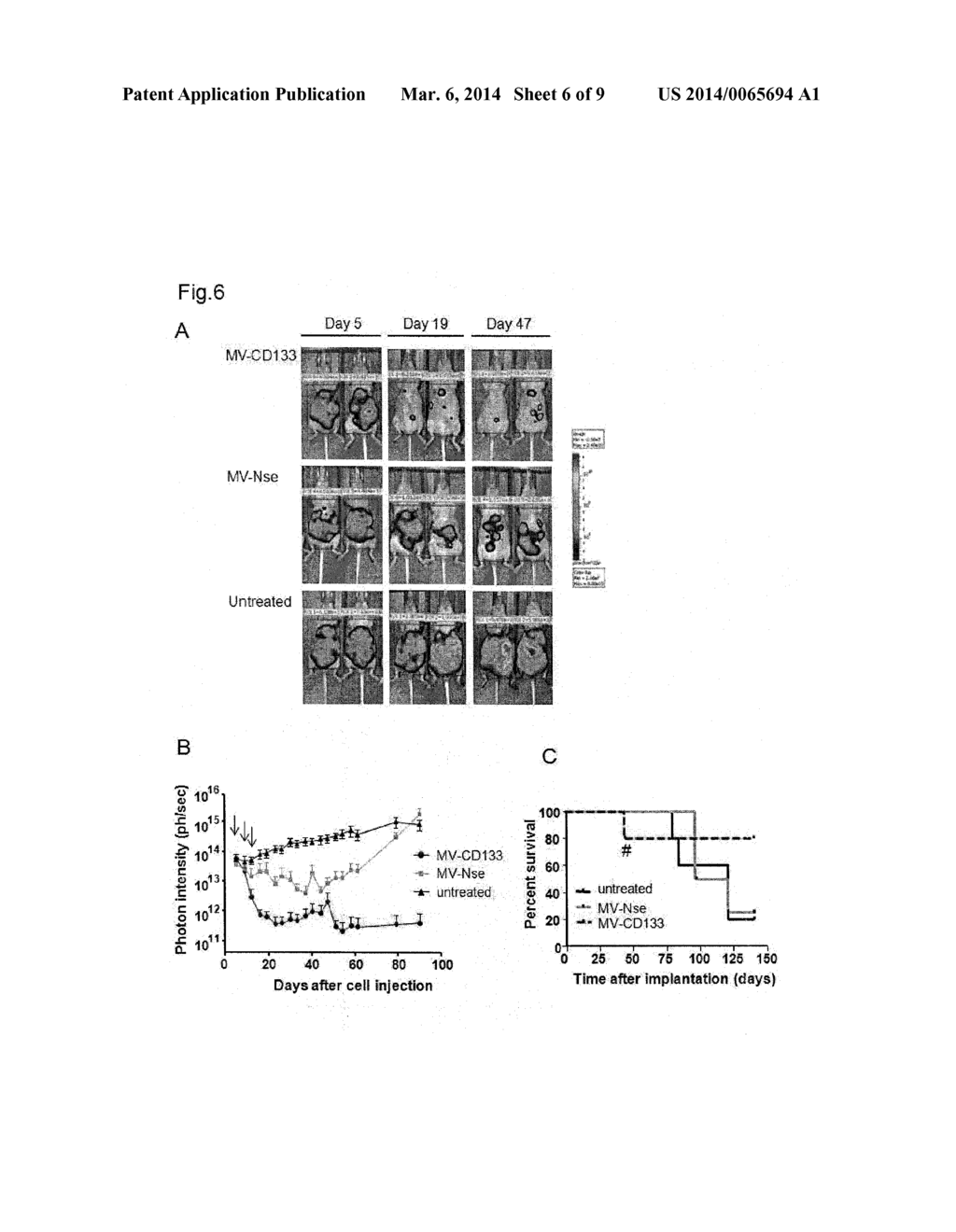 ENHANCED TUMOR THERAPY BY TUMOR STEM CELL TARGETED ONCOLYTIC VIRUSES - diagram, schematic, and image 07