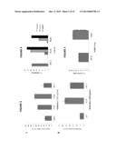 ANTIBODIES AS T CELL RECEPTOR MIMICS, METHODS OF PRODUCTION AND USES     THEREOF diagram and image